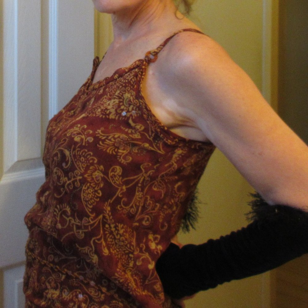 Cynthia Steffe Brick Colored Indian Sheer Camisole and Skirt, SIZE 10